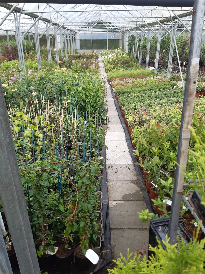 Mill Garden Centre
