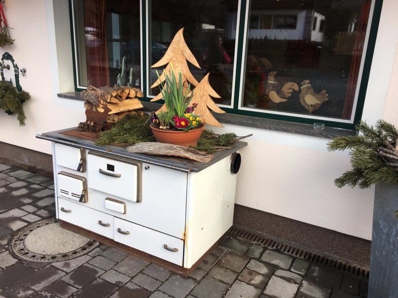 Aparthotel Steger