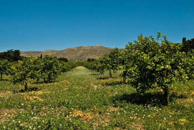 Agriturismo Chiusa di Carlo