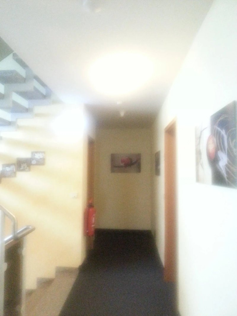 Hotel Engel