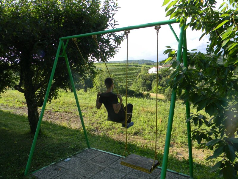 Accommodation Verderber