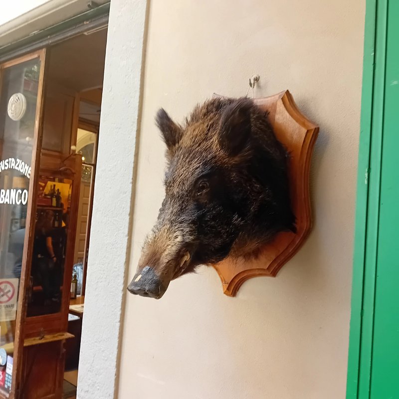 Tavern Cantine Barbaroux