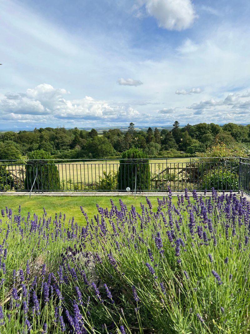 Bowden House Boutique B&B