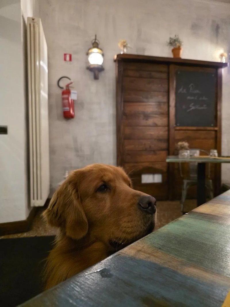 La Tana Pizzeria Contemporanea