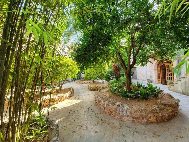 Petit Hotel Rural Son Jorda