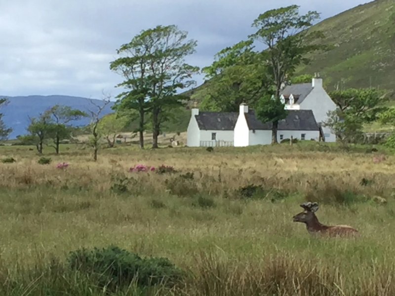 Clachan Manse Bed & Breakfast