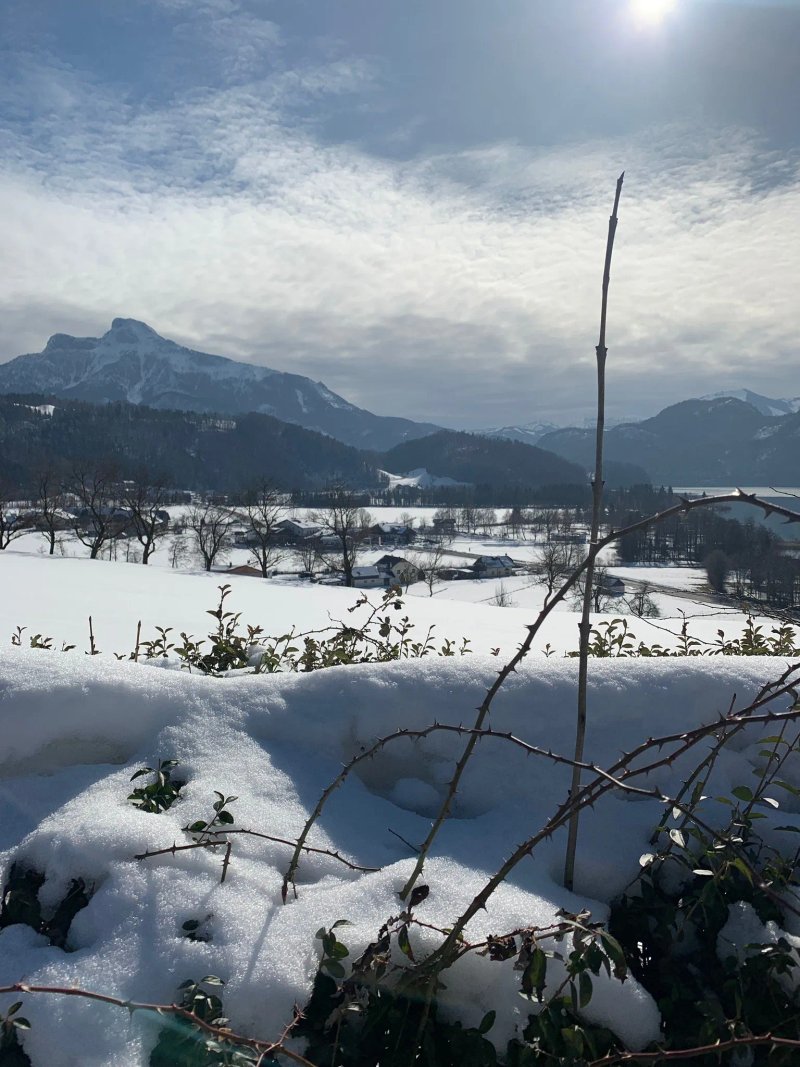 Landzeit Mondsee
