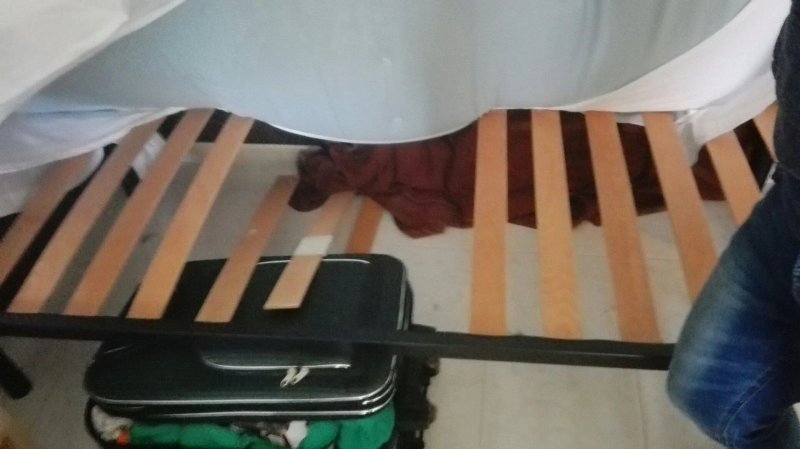 Hotel Holiday