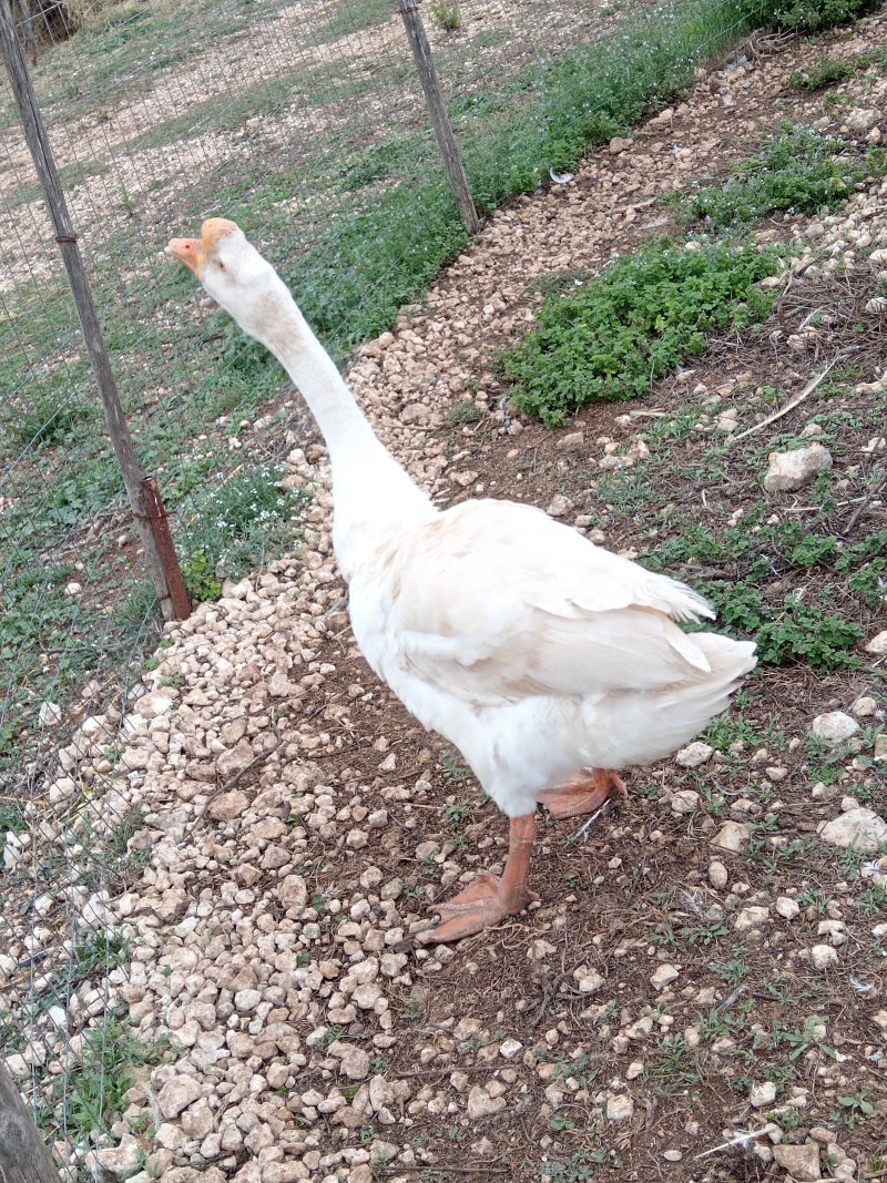 Agriturismo Agrimilo