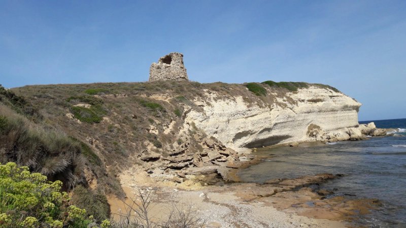Torre Del Pozzo Tower