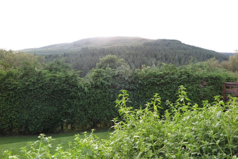 Mountain View Lodge
