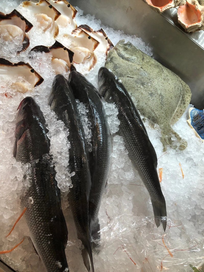 Trattoria Lobster & More