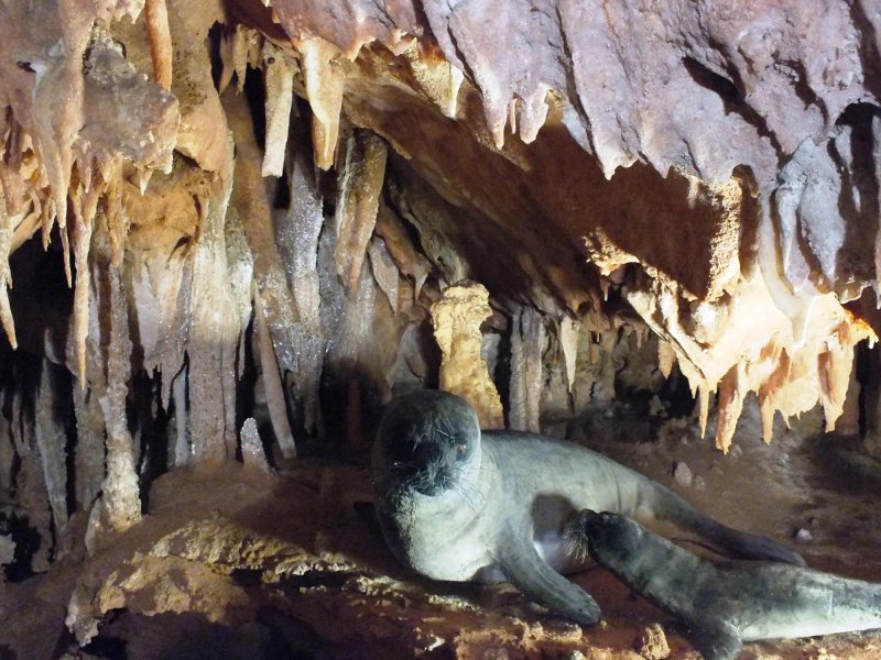 Grotta del Fico