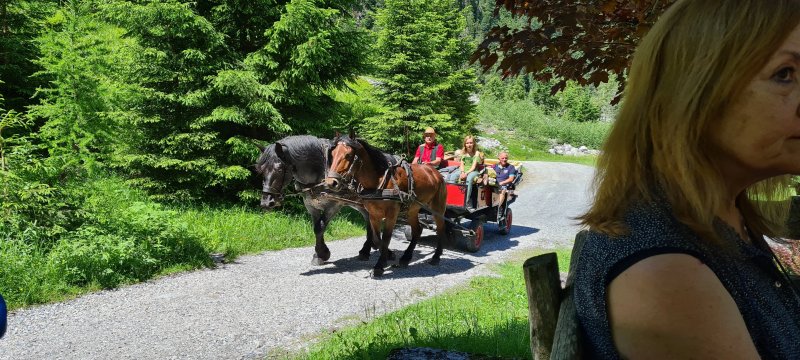 Alpenhaus Prossau