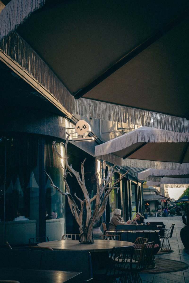 La Papa Loca - Restaurante De Tequila