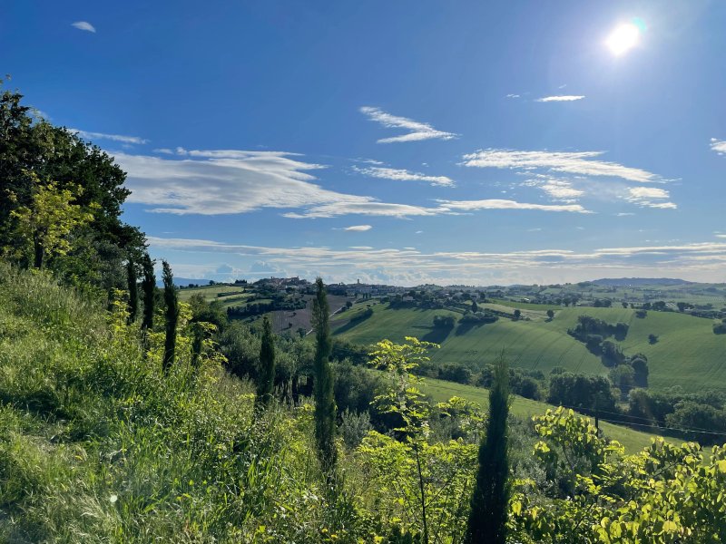 La Vecchia Scuola