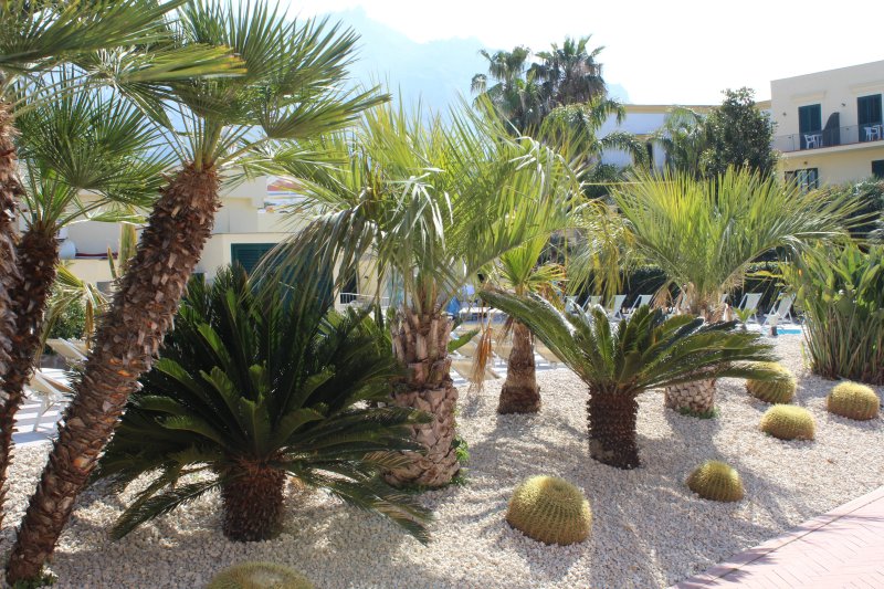 Casthotels Punta del Sole