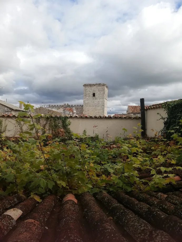 Casa Rural "La Enhorcadora"