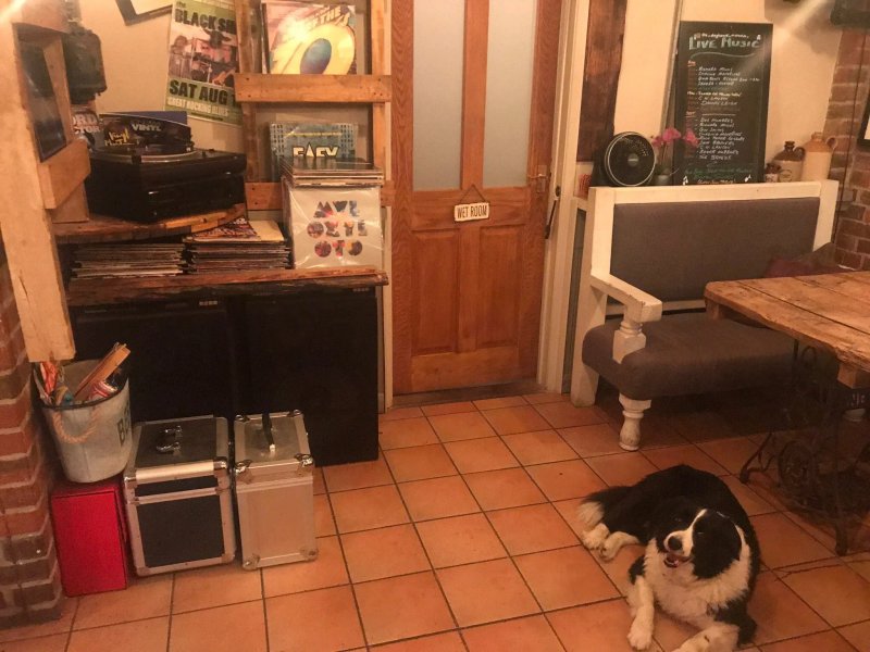 The Dog House Micropub and Vinyl Bar