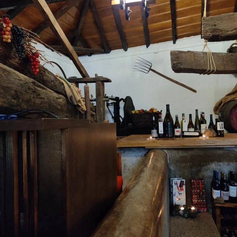 El Castillo del Vino