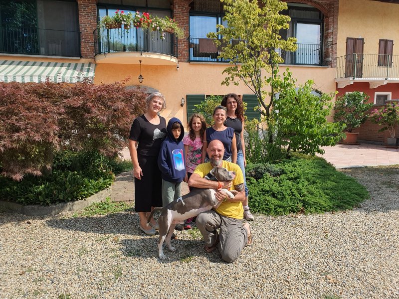 Bed & Breakfast la Siepe