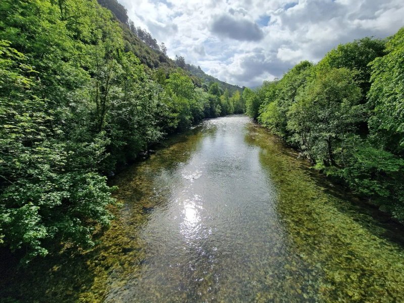 La Molinuca