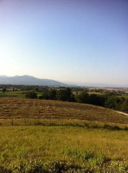Agriturismo Valliferone