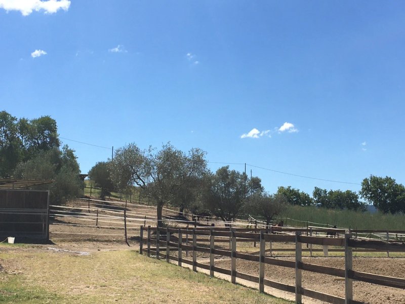 Agriturismo Vocabolo Poggio del Pero
