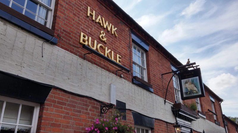 Hawk & Buckle