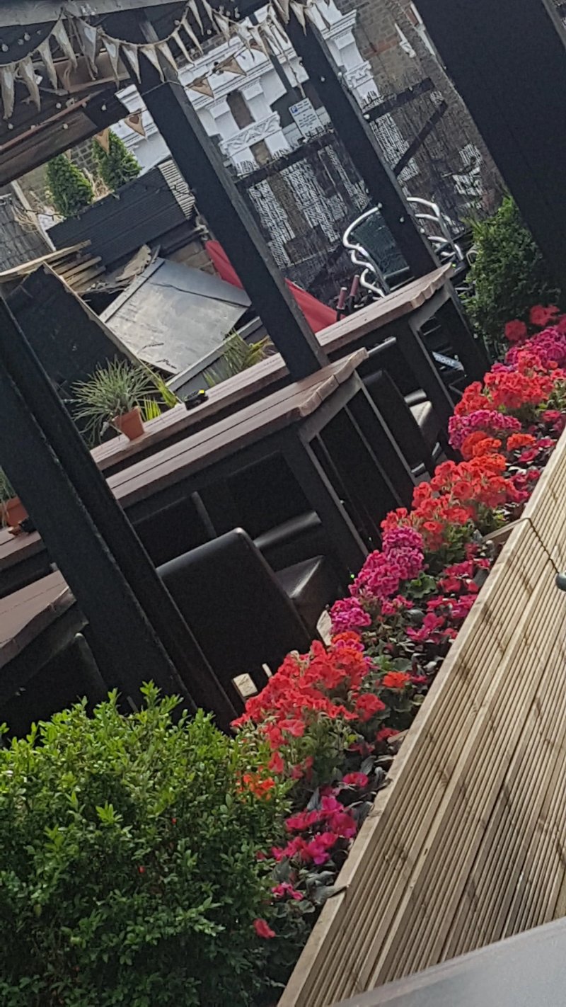 The Rylston