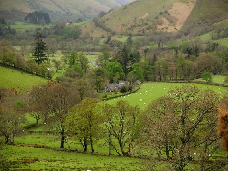 Neuadd Arms Hotel