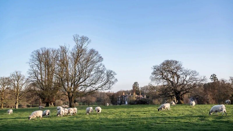 Chilston Park Hotel