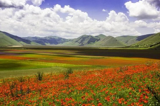 Piana di Castelluccio di Norcia