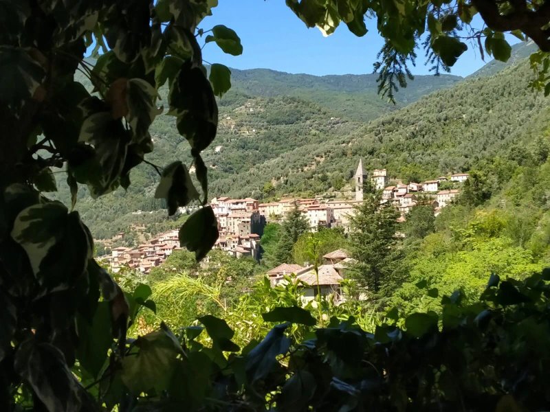 Ristorante Trattoria Terme