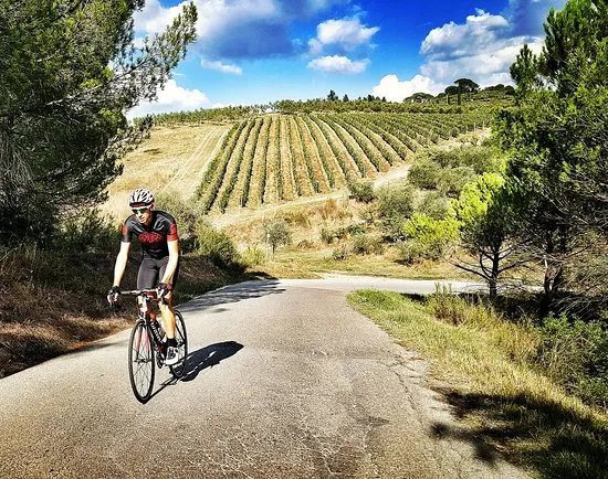 Vista Cycling Tours