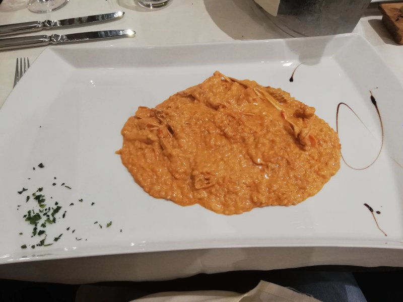 La vela latina