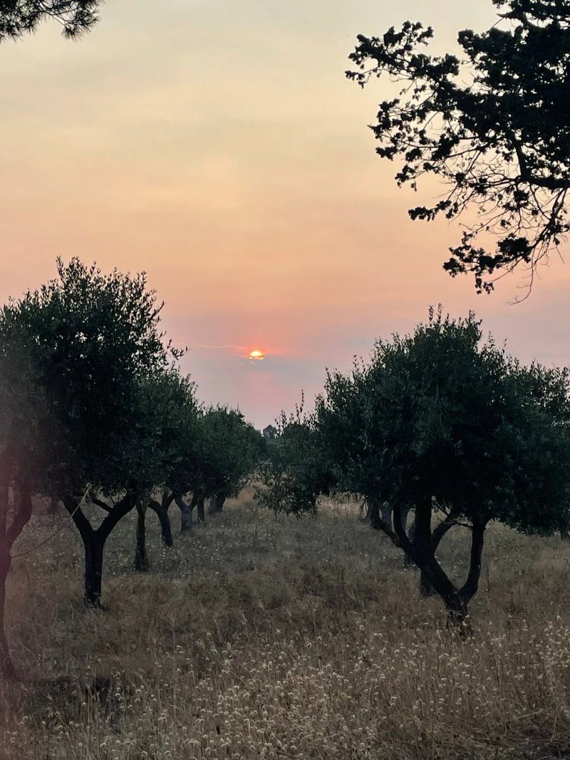 TerreAmare Agriturismo (ristorante)
