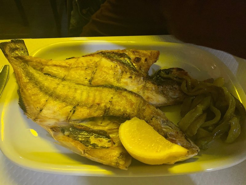 Cegonha