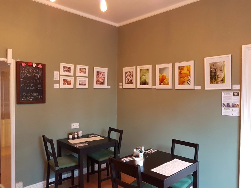 The Herb Garden Vegetarian bistro