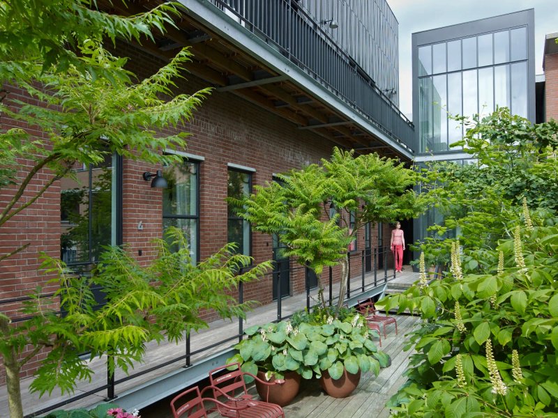 Stout & Co. Amsterdam