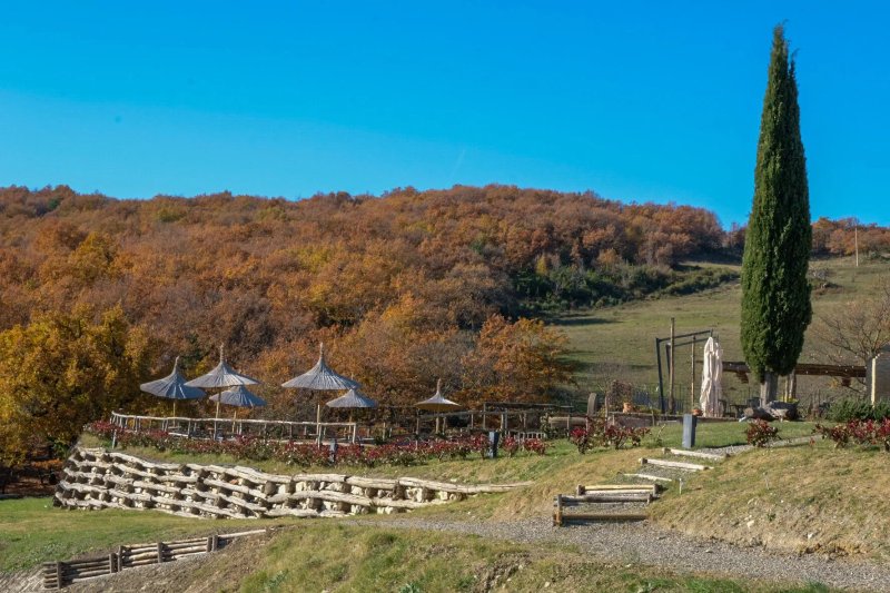 Terre di Giorgio Agriturismo Villa la Palazzetta