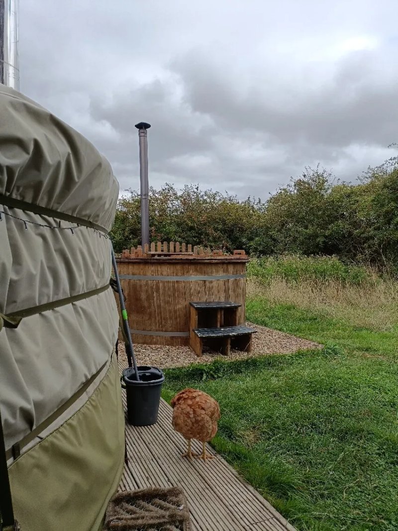 Lincoln Yurts
