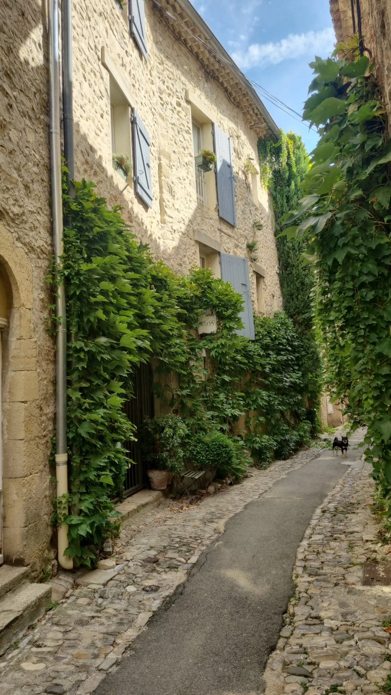 L'Eveche