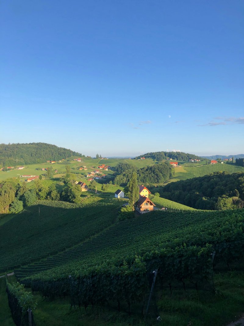Weingut Wolfgang Maitz