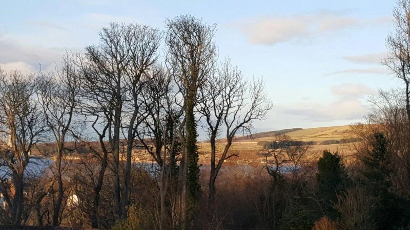 The Factor's House