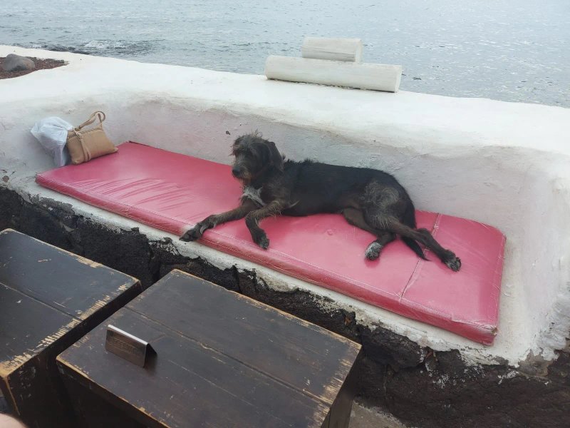 Ancla2 Beach Bar