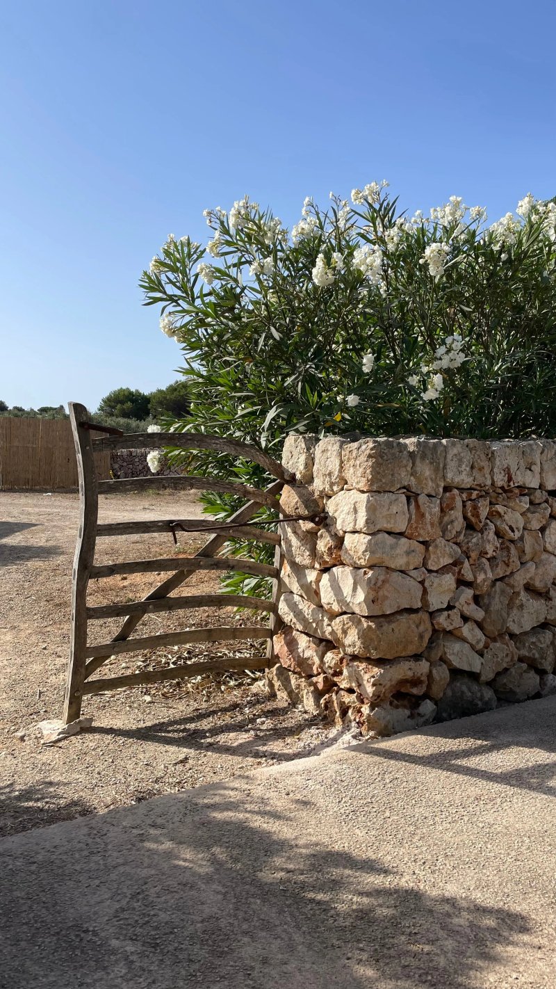 Sant Joan de Binissaida