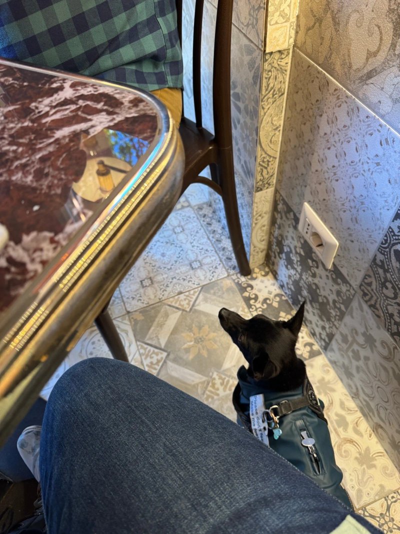 AZZ! Italian Tavern - Sorrento