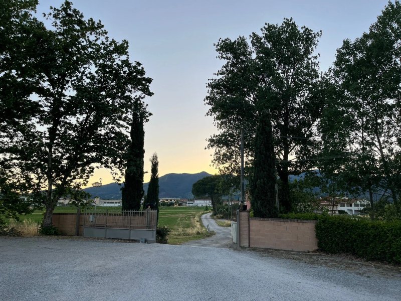 Cigno Nero Terrazza Sul Lago