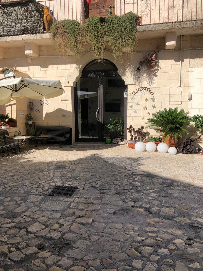 Il Nespolo